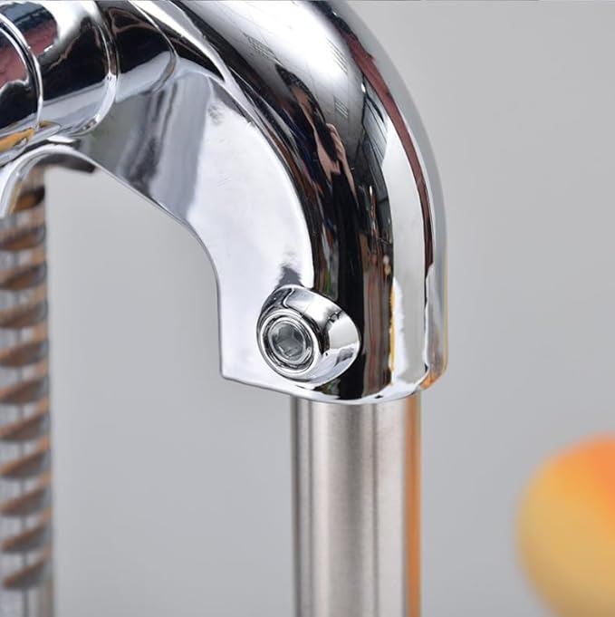 Manual Stainless Steel Fruit Juicer